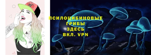 apvp Беломорск