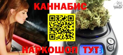 гашик Камышлов