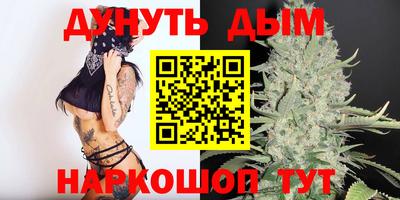 mdpv Гатчина