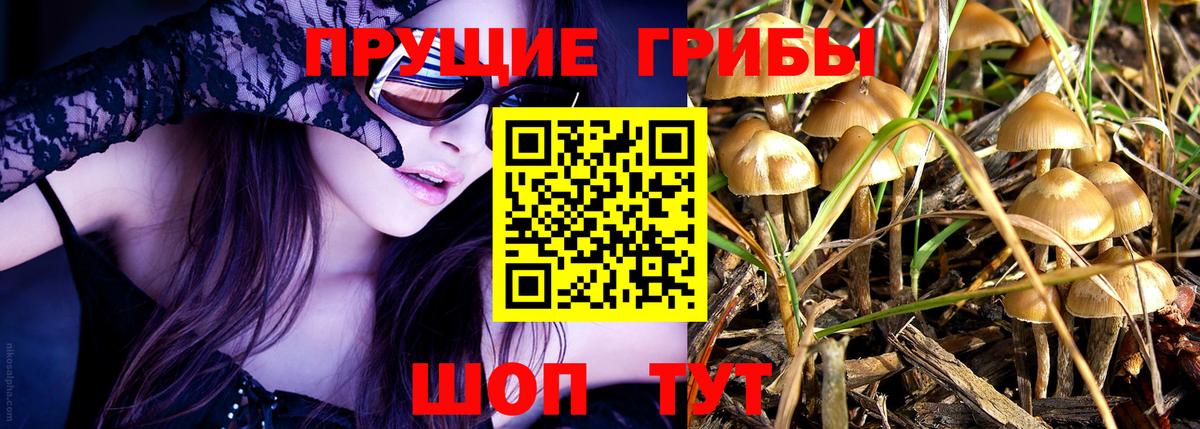 Кузнецк  Галлюциногенные грибы MAGIC MUSHROOMS  Вход с VPN 